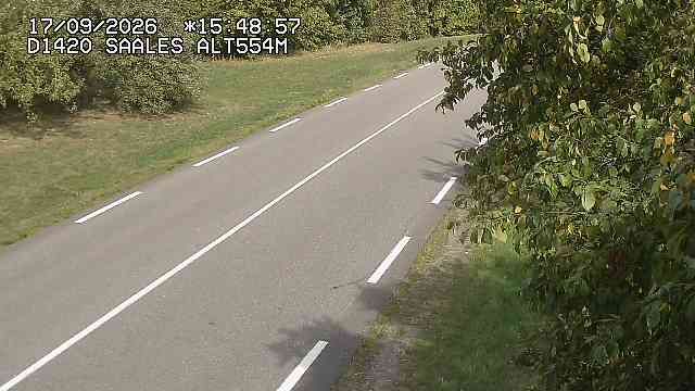 Saales › Est: Col de Saales