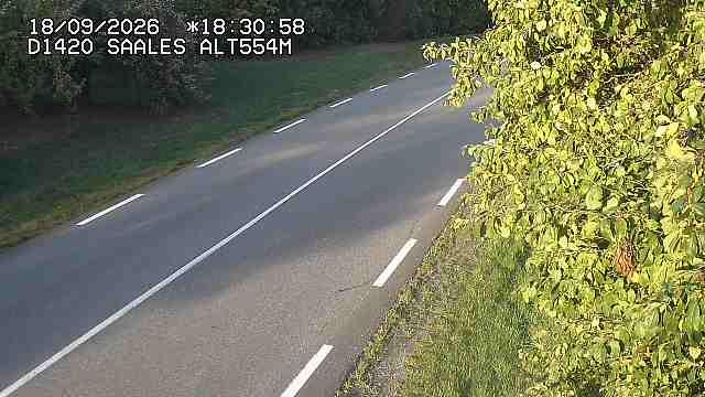 Saales › Est: Col de Saales