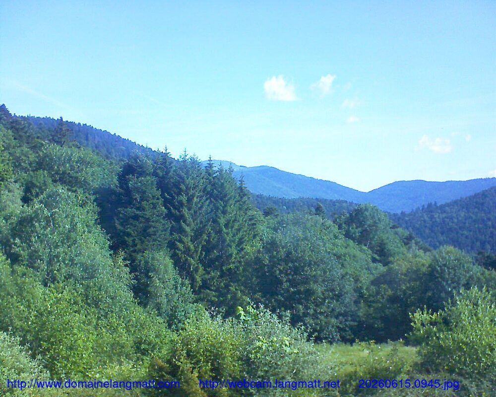 Murbach: Le petit ballon