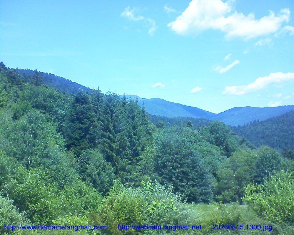 Murbach: Le petit ballon