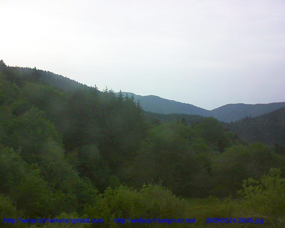 Murbach: Le petit ballon