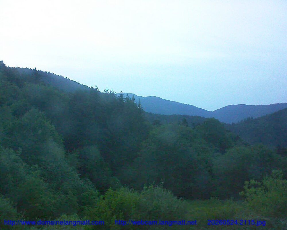 Murbach: Le petit ballon