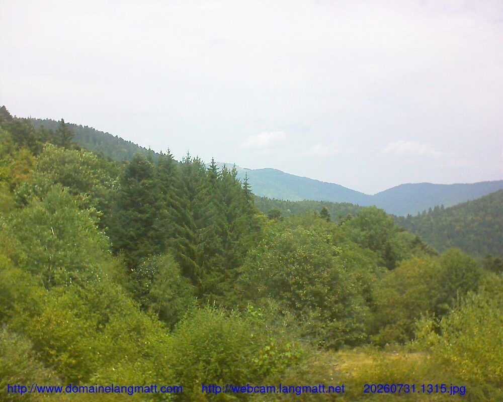 Murbach: Le petit ballon