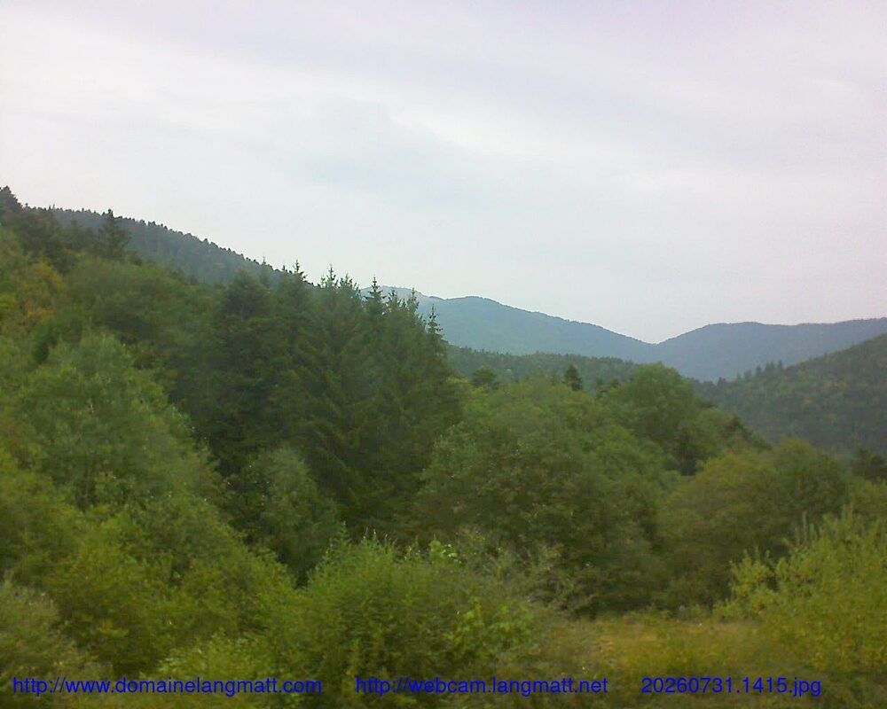 Murbach: Le petit ballon