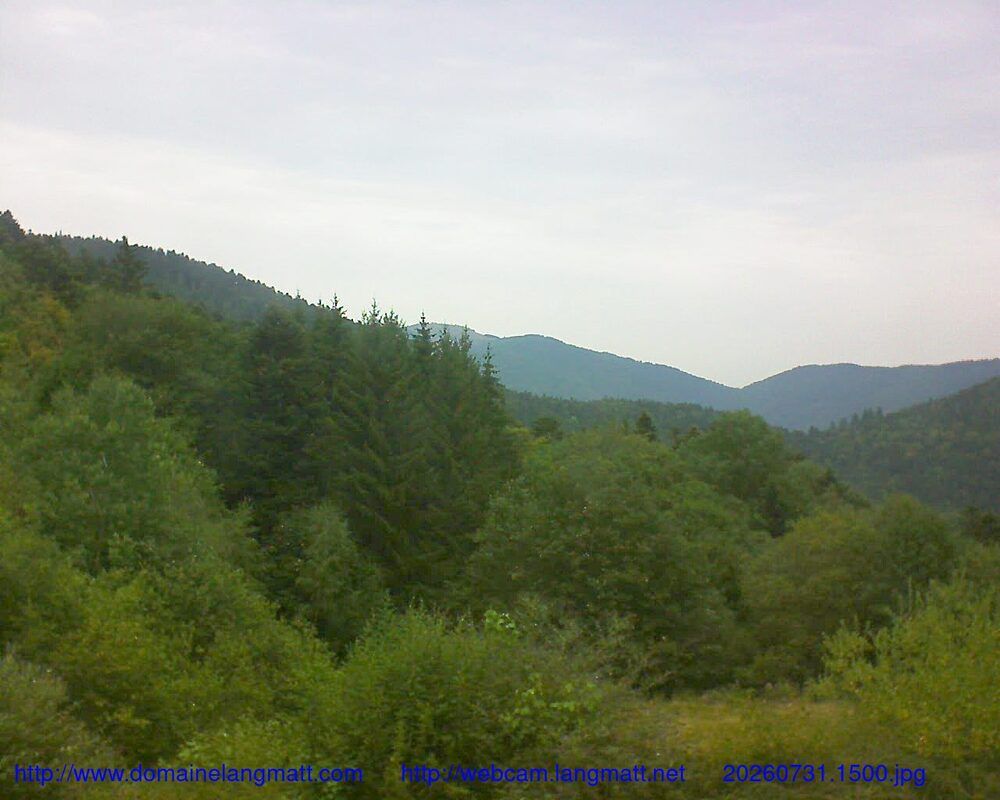 Murbach: Le petit ballon