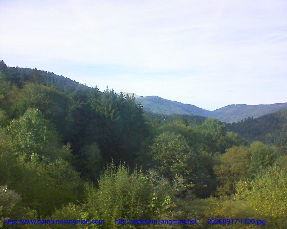 Murbach: Le petit ballon