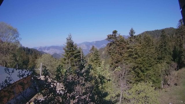 La Bollène-Vésubie › Nord-ouest: Col de Turini