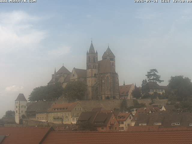 Vieux Brisach: Breisacher Münster St. Stephan
