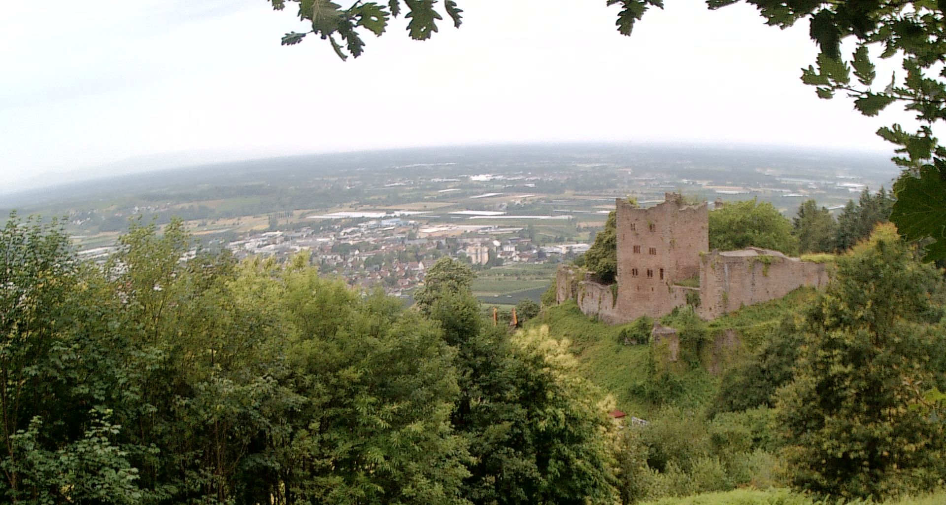 Oberkirch › Nord-ouest: Ruine Schauenburg