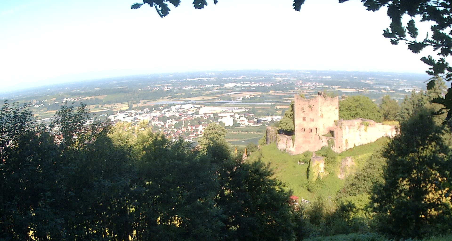 Oberkirch › Nord-ouest: Ruine Schauenburg